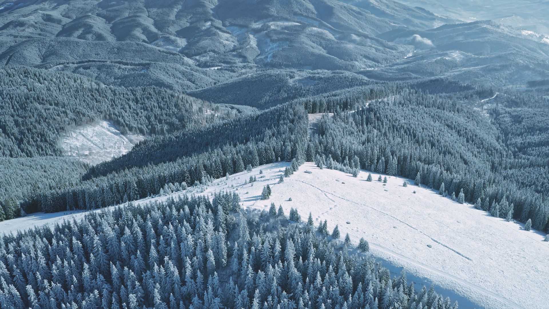 Bukovel Ski Resort