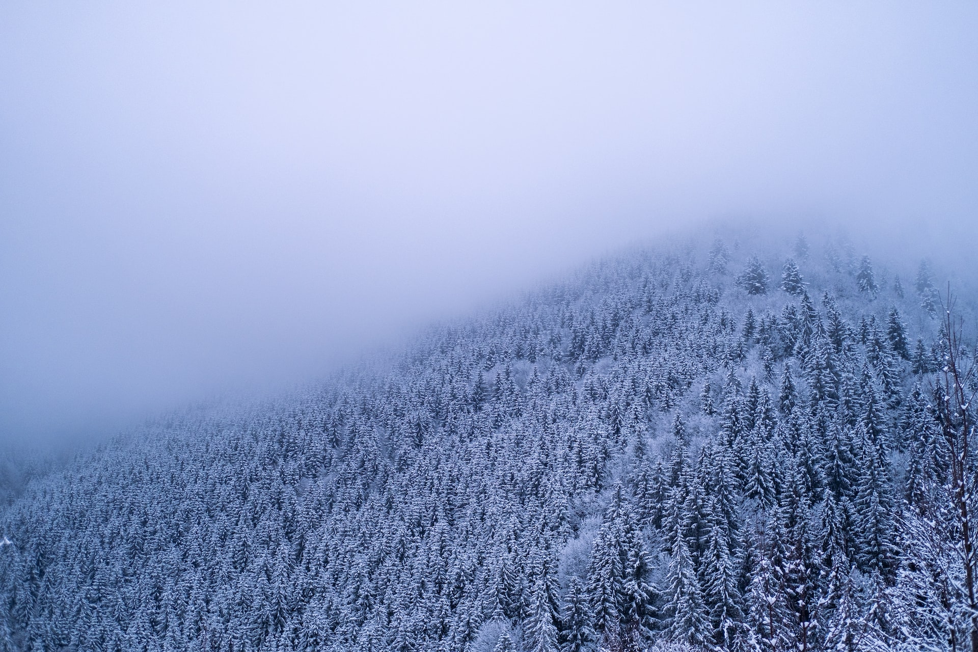 Winter in Romania mountains